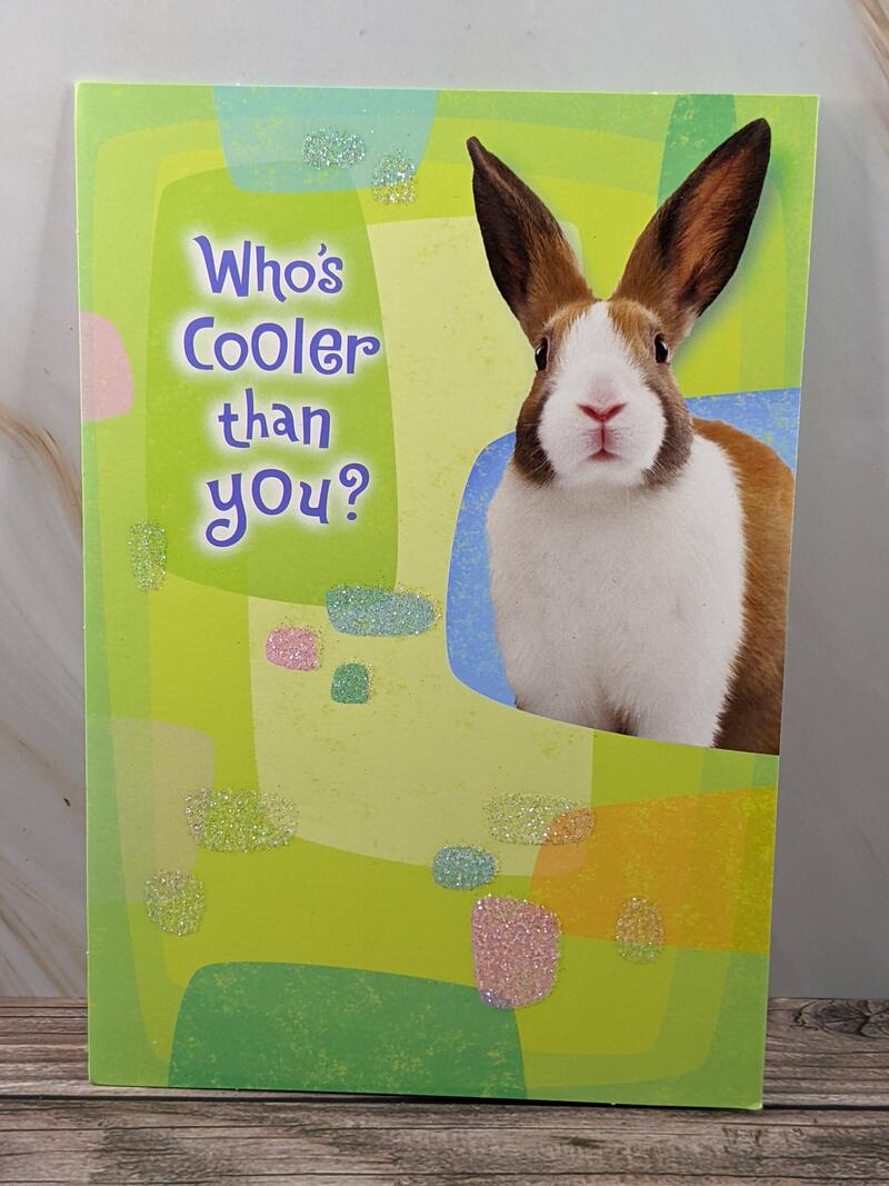 Nobunny Cooler Easter Card