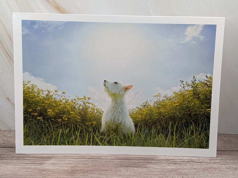 Sending Sunshine Card