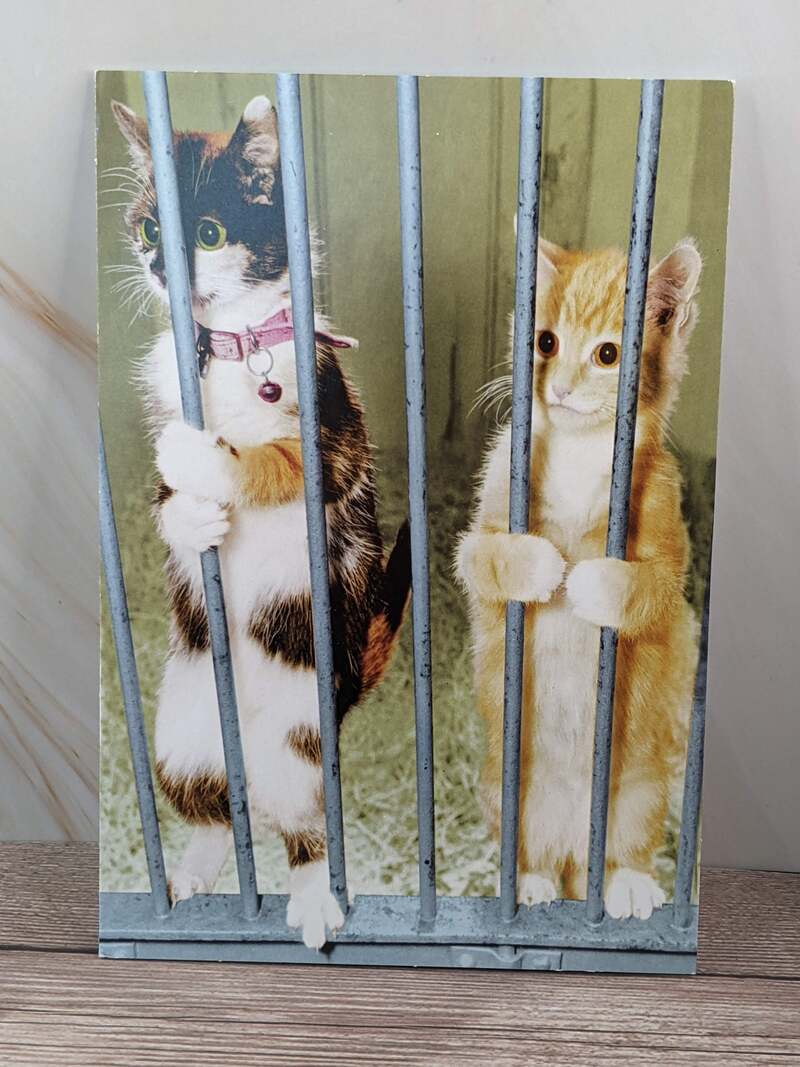 Cause Trouble Friendship Card