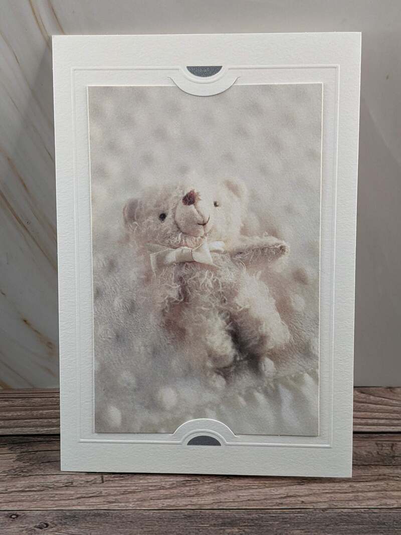 Baby Bear Blank Card