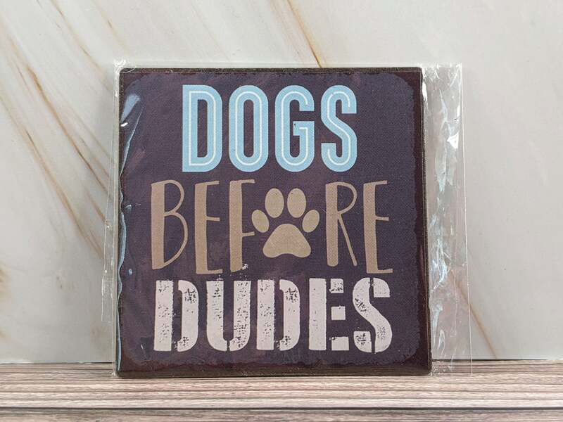 Dogs Before Dudes Magnet