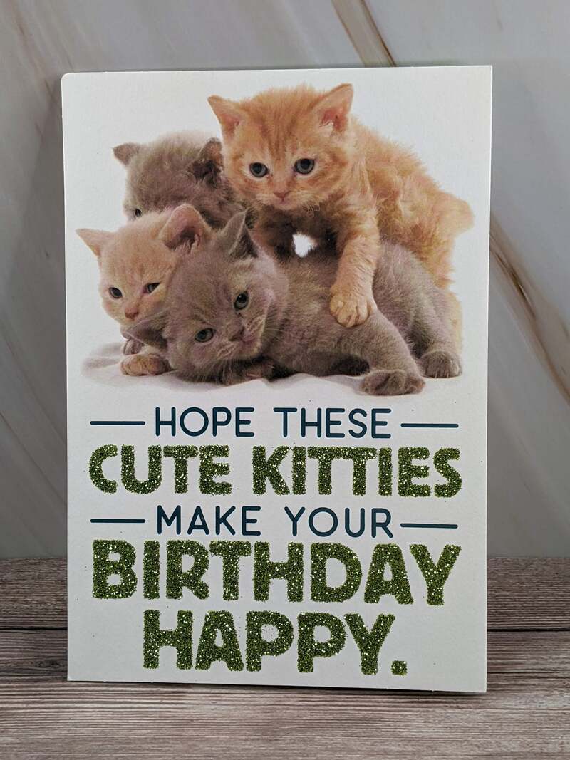 Cute Kittens Birthday Card