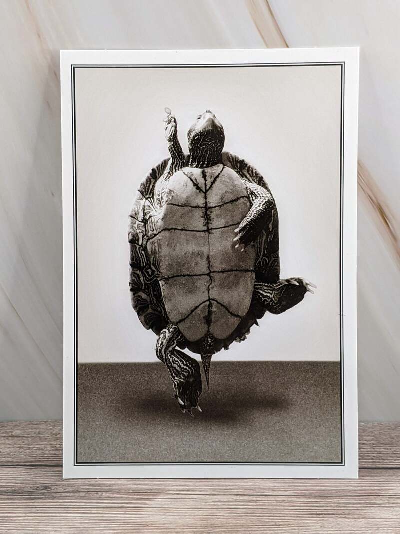 Boogie Down Birthday Card