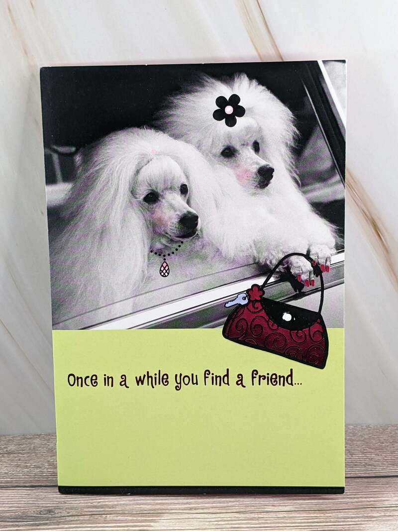 Friend Forever Birthday Card