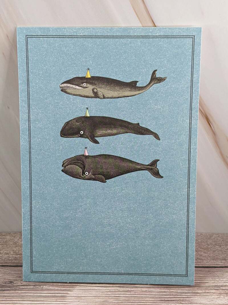 Whale Birthday Card
