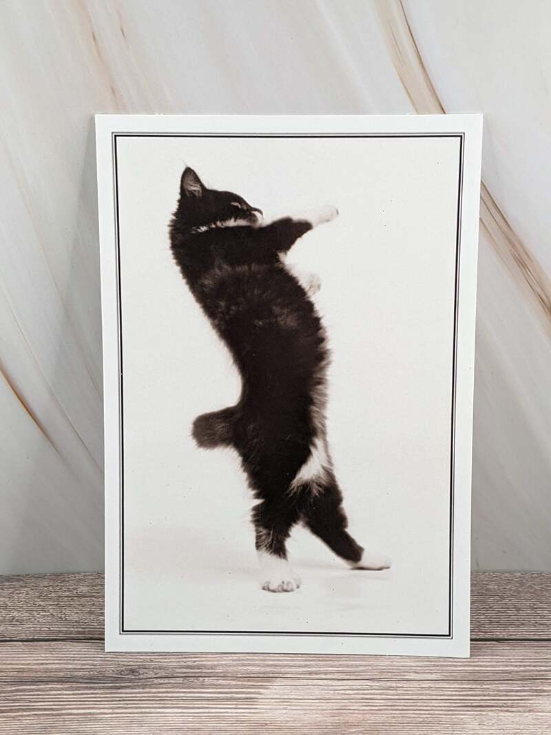 Birthday Boogie Card