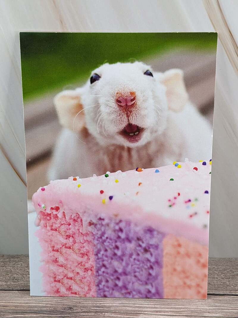 Extra Sprinkles Birthday Card