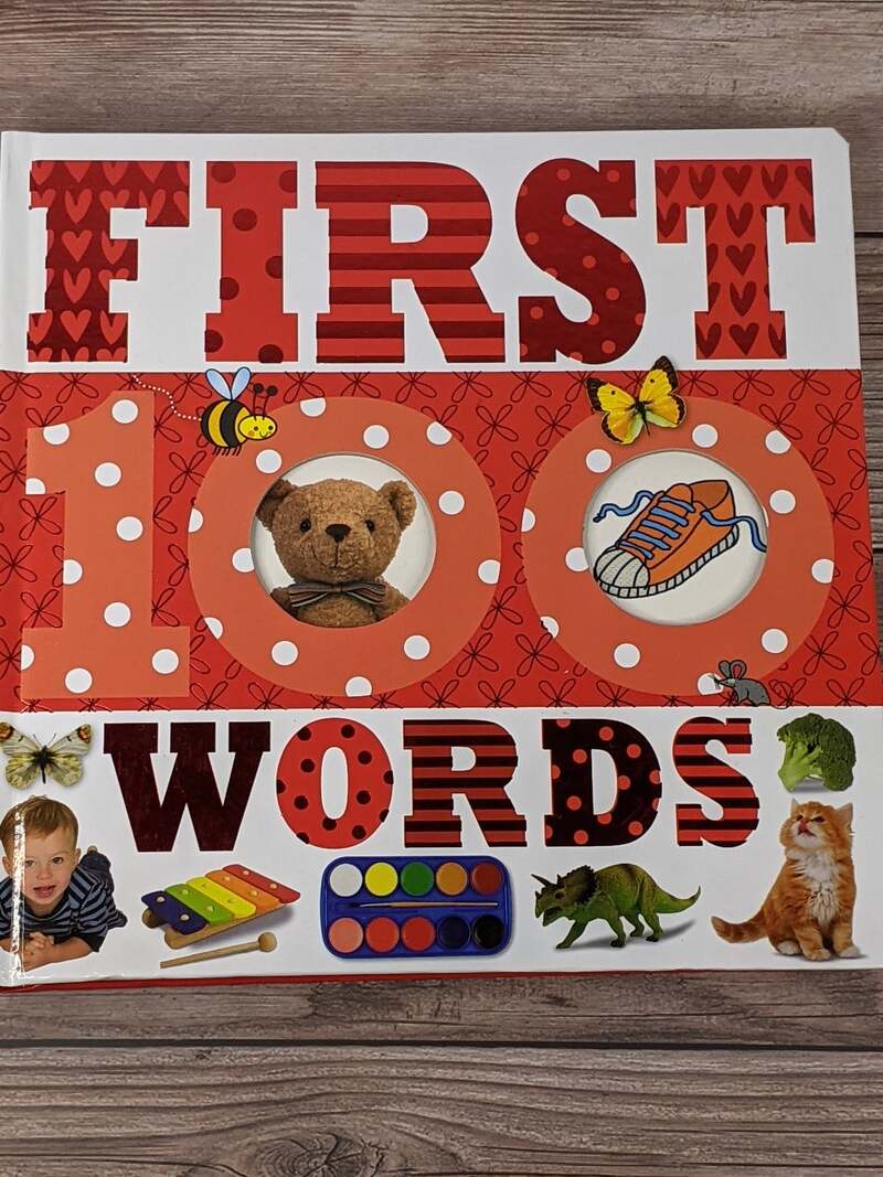 First 100 Words Board Book