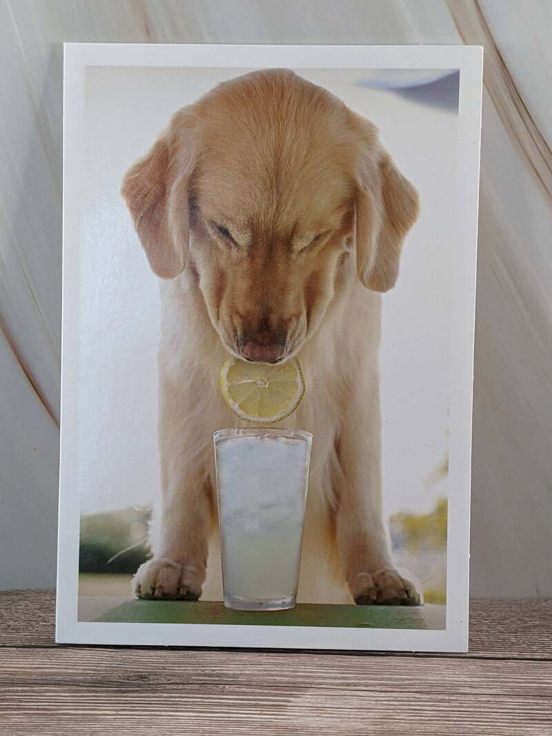 Special Something Thank You Card