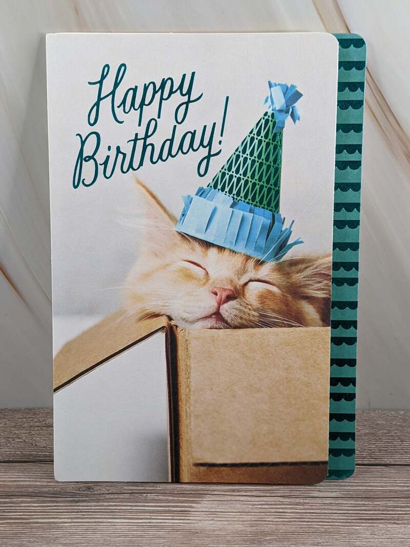 Doing Nothing Birthday Card