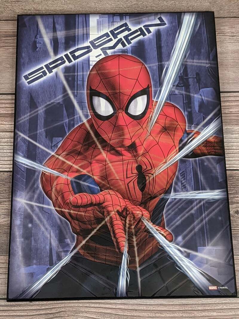 Spider-Man Wall Decor Plaque