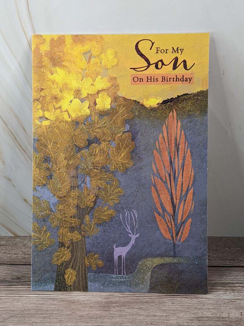 For My Son Birthday Card