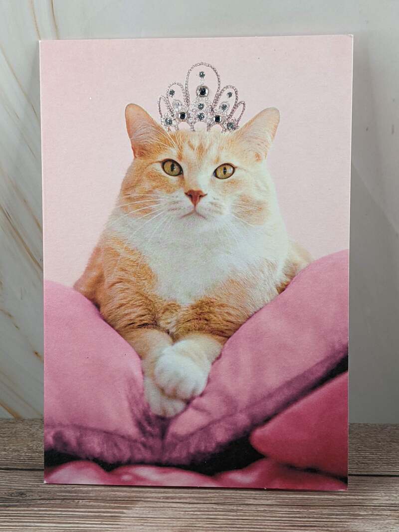 Princess Cat Blank Card